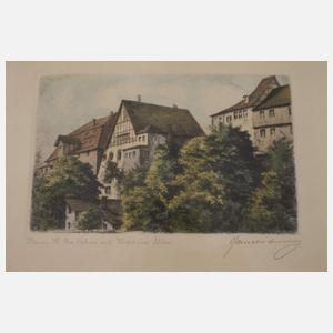 Sammlung Plauenansichten