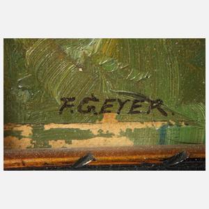 Fritz Geyer, Blick auf Meissen