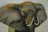Manfred Leibl, Elefant in der Savanne