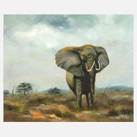 Manfred Leibl, Elefant in der Savanne111
