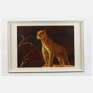 Manfred Leibl, Gepard