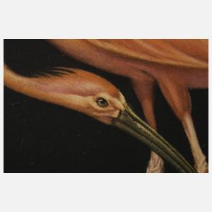 nach Richard Müller, "Der rote Ibis"