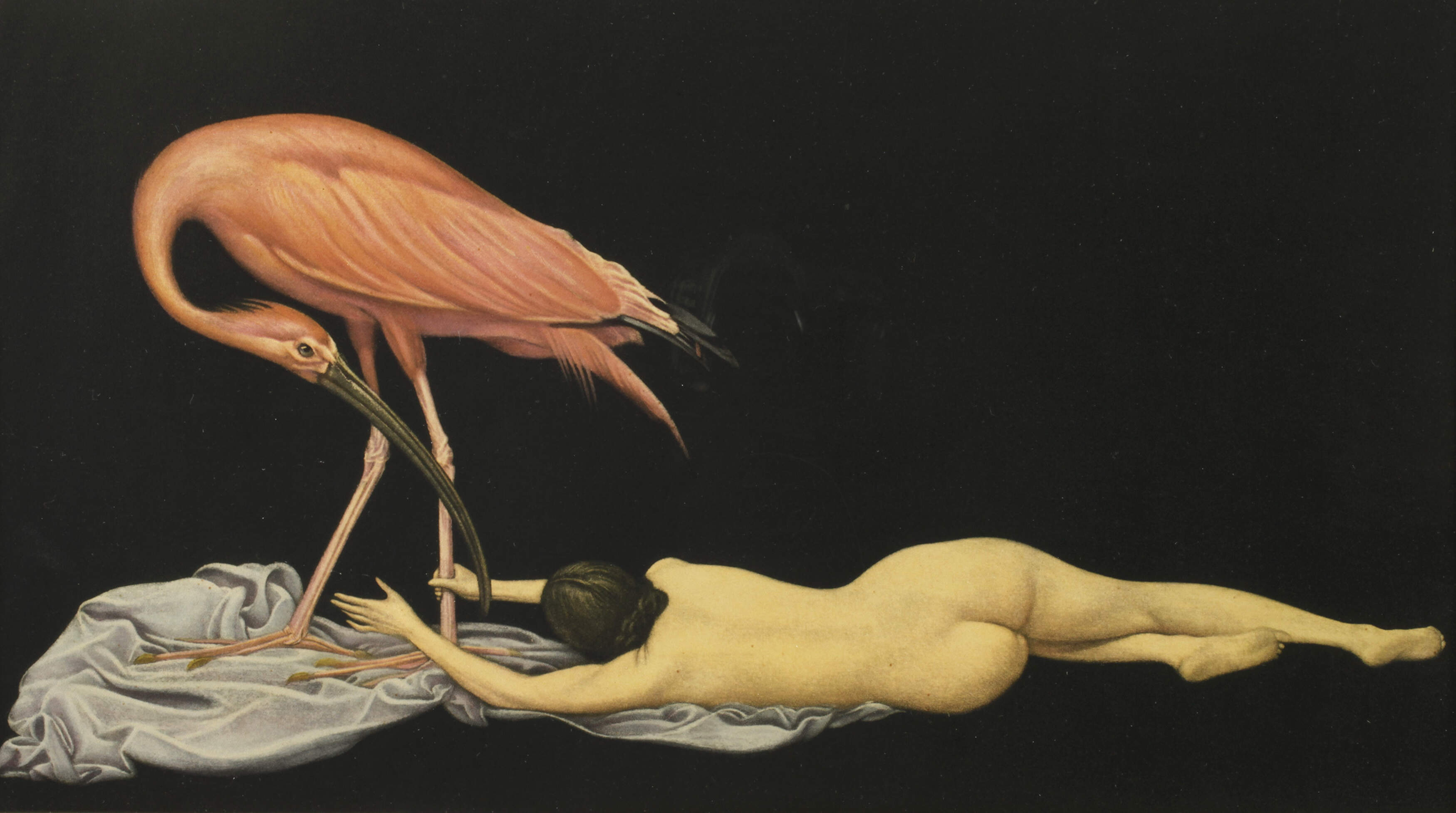 nach Richard Müller, "Der rote Ibis"