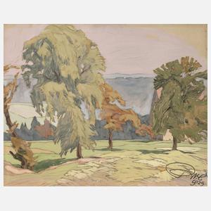 Richard Naumann-Coschütz, Sommer in der sächsischen Schweiz