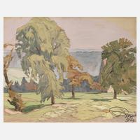 Richard Naumann-Coschütz, Sommer in der sächsischen Schweiz111