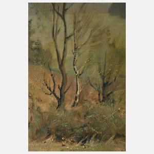 Richard Sachs, Vogtländische Landschaft