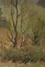 Richard Sachs, Vogtländische Landschaft