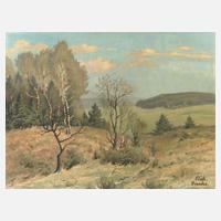 Richard Sachs, Vogtländische Landschaft111