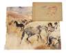 Max Schwimmer, "Griffounagen" und Aquarell