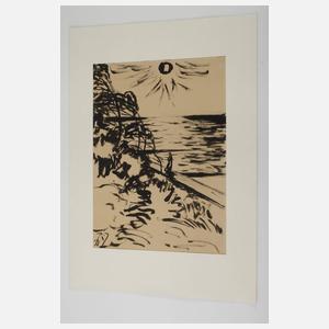Fritz Zalisz, "Windflüchter am Darß"