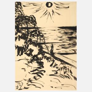 Fritz Zalisz, "Windflüchter am Darß"