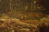 Waldlandschaft mit Bach