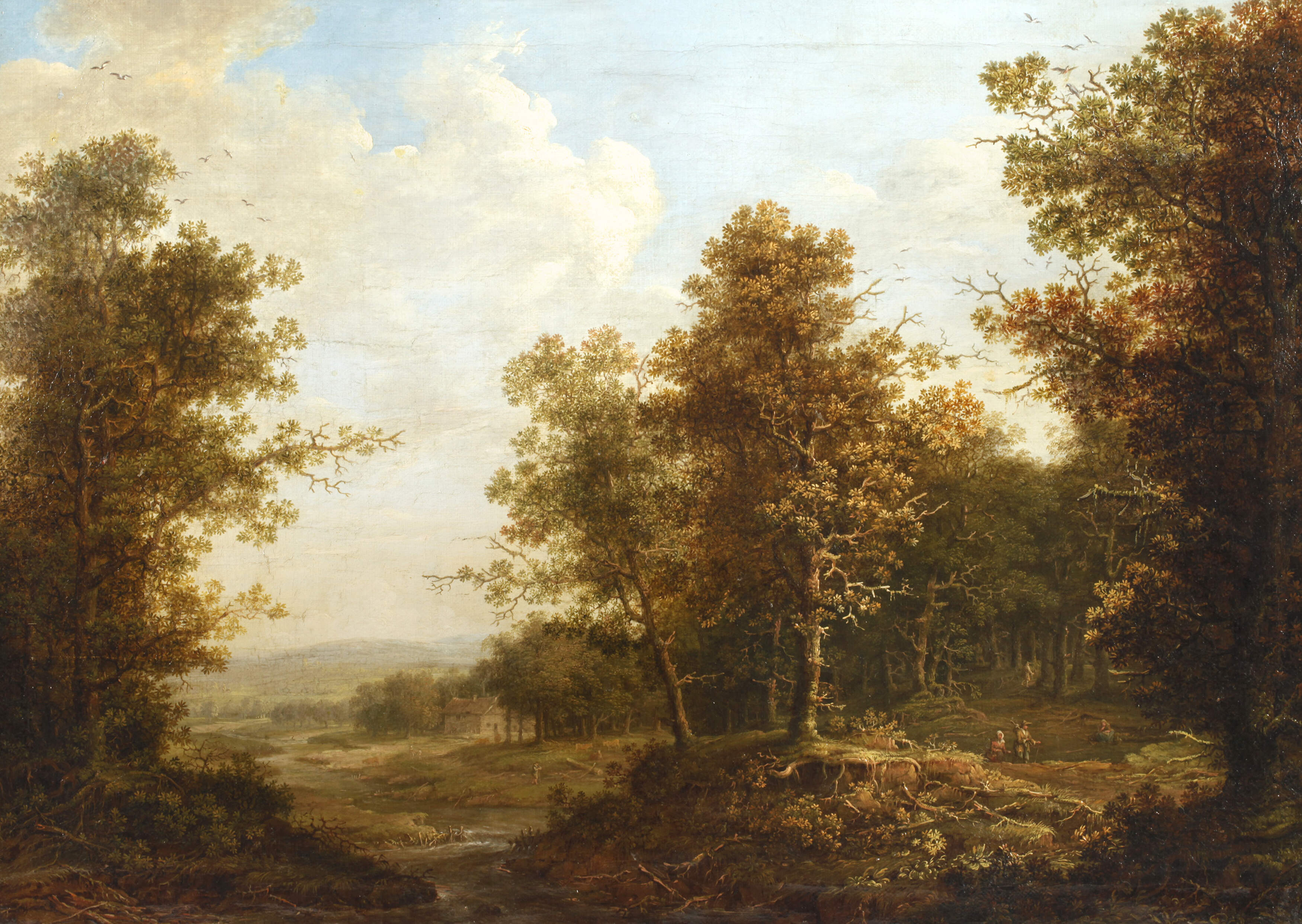 Waldlandschaft mit Bach