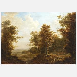 Waldlandschaft mit Bach