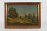 Karl Kaltenmoser, Sommerlandschaft