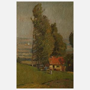 Karl Kaltenmoser, Sommerlandschaft