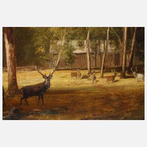 Rudolph Pöppel, "Hirschpark bei Nymphenburg"