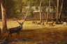 Rudolph Pöppel, "Hirschpark bei Nymphenburg"
