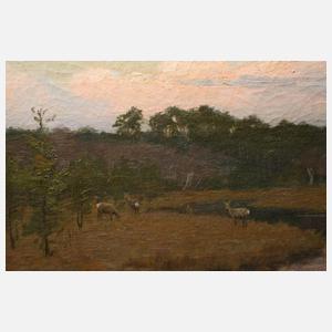 Georg Schmitgen, Moorlandschaft im Sonnenaufgang
