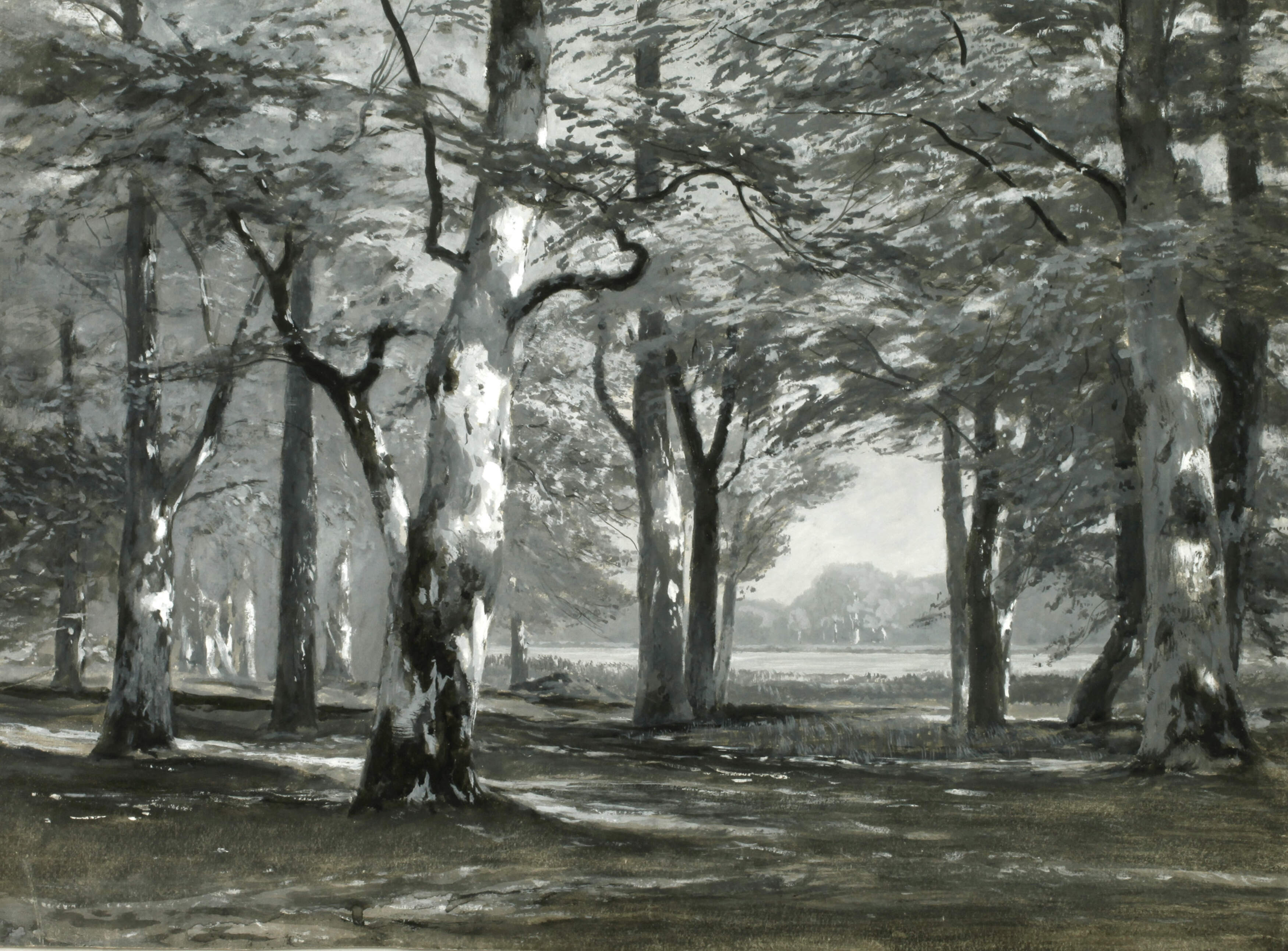 Julius Wentscher, attr., Sonniger Laubwald