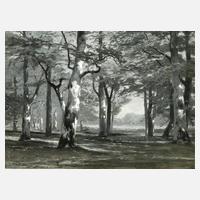 Julius Wentscher, attr., Sonniger Laubwald111