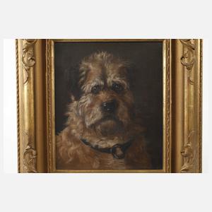 Hundeportrait