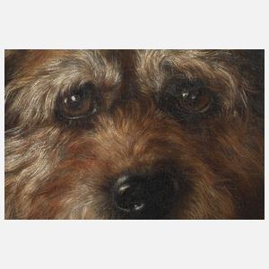 Hundeportrait