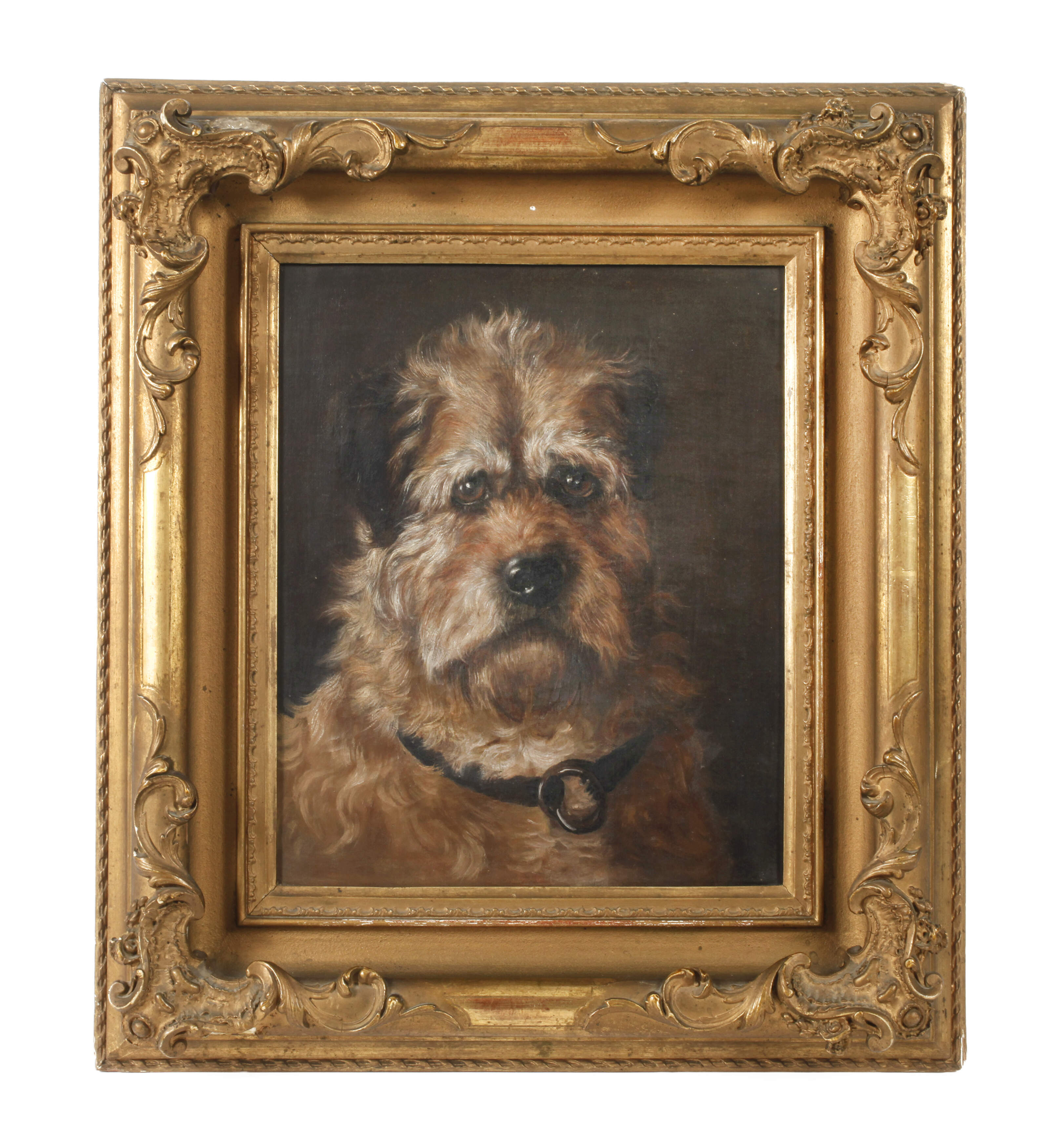 Hundeportrait