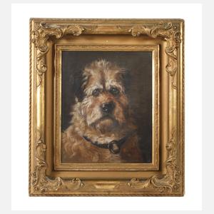 Hundeportrait