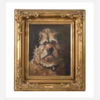 Hundeportrait111