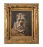 Hundeportrait