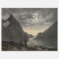 Nächtliche Fjordlandschaft111
