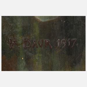 H. Baur, Offiziersbildnis