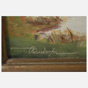 Anton Birndorfer, "Osterseen mit Benediktenwand"