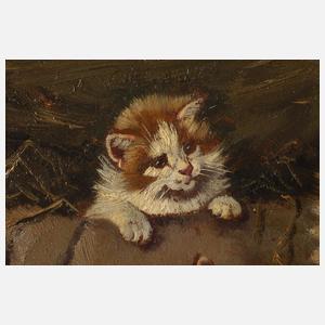 Benno Kögl, Katze mit drei Kätzchen an einem Korb