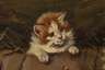 Benno Kögl, Katze mit drei Kätzchen an einem Korb