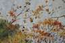 Max Oehler, Herbstliche Landschaft