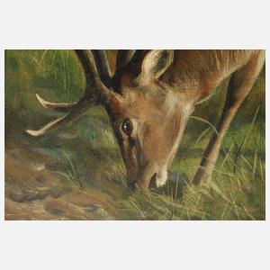 Friedrich Reimann, attr., Hirsch im Laubwald