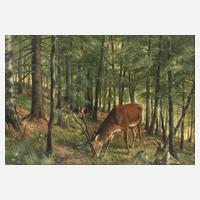 Friedrich Reimann, attr., Hirsch im Laubwald111