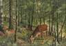 Friedrich Reimann, attr., Hirsch im Laubwald