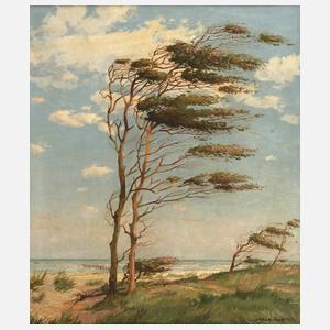 Ulrich Sager, Windflüchter