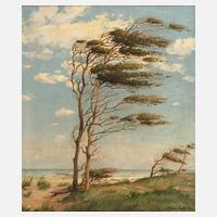 Ulrich Sager, Windflüchter111