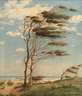 Ulrich Sager, Windflüchter