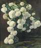 Wilhelm Schink, Schneeballblumen