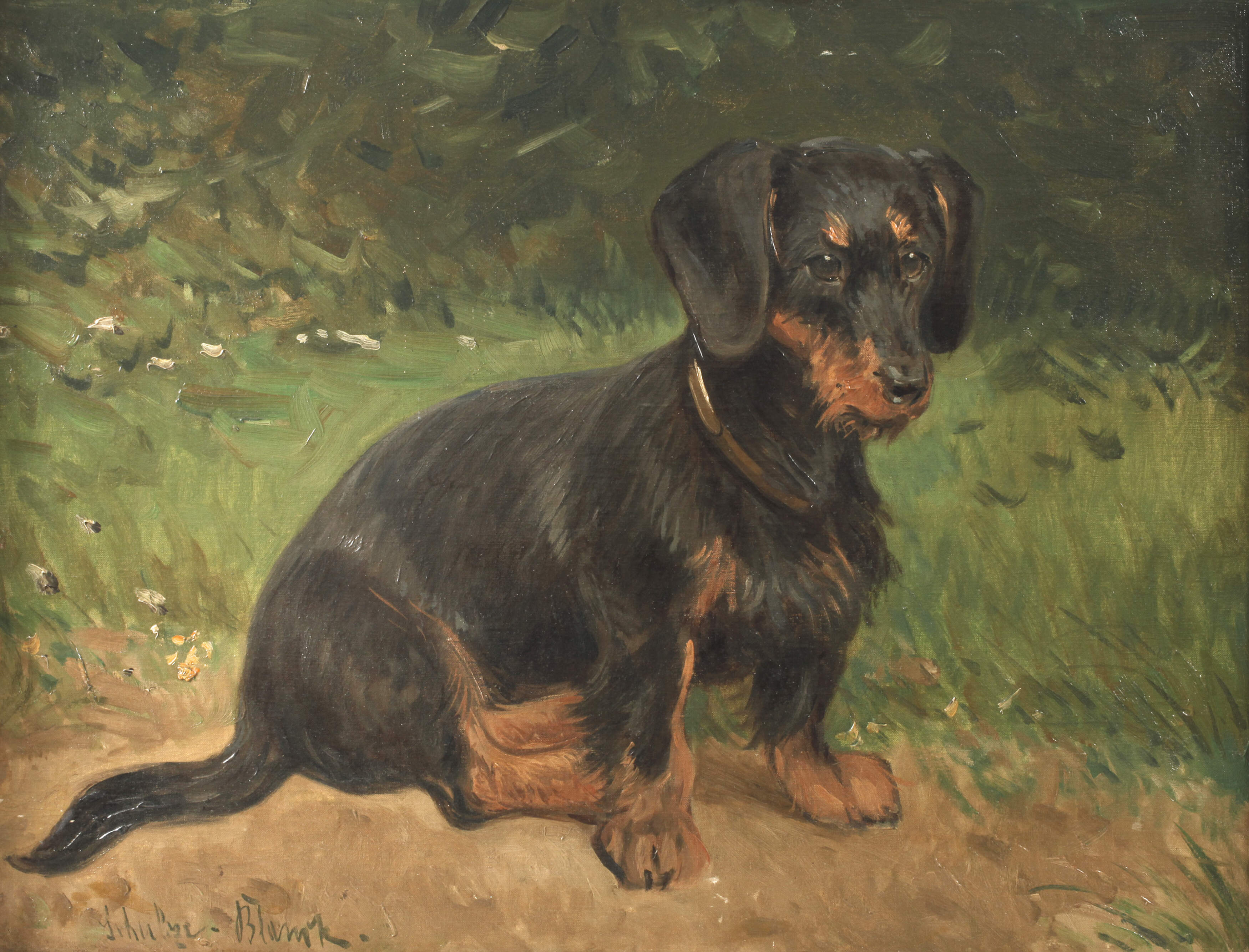Fritz Schulze-Blanck, Dackelportrait