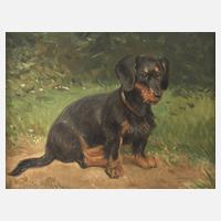 Fritz Schulze-Blanck, Dackelportrait111