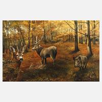 Christiane Vleugels, Herbstwald mit Wild111