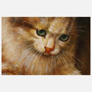 Katze mit Hirschkäfer nach Wilhelm Schwar