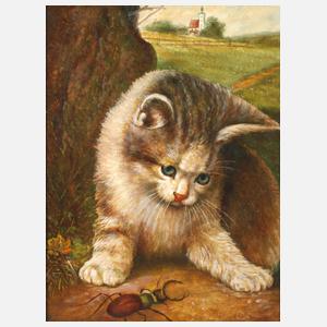 Katze mit Hirschkäfer nach Wilhelm Schwar