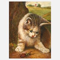 Katze mit Hirschkäfer nach Wilhelm Schwar111